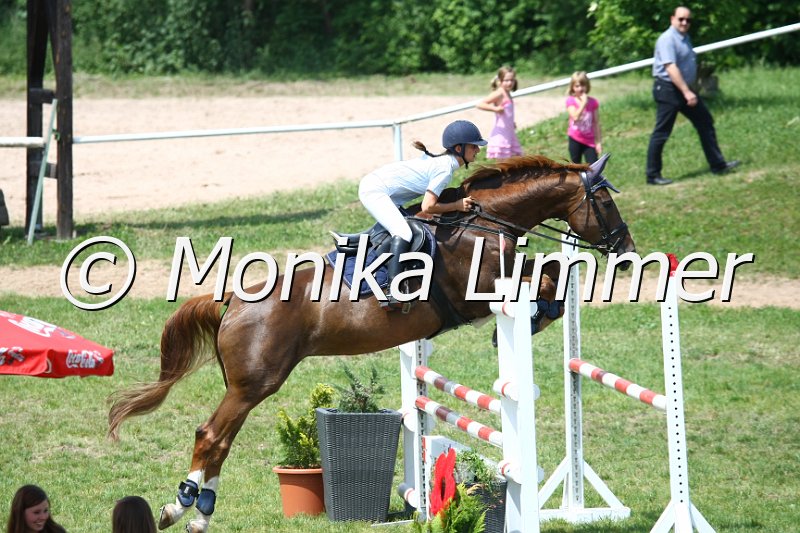 105M2278_Glamour Girl_Spring_L.JPG